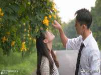 淮安风之帆网络科技有限公司