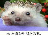 淮安风之帆网络科技有限公司