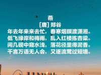 淮安风之帆网络科技有限公司