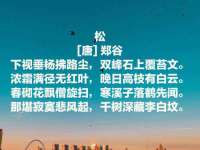 淮安风之帆网络科技有限公司