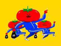 淮安风之帆网络科技有限公司