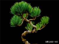 淮安风之帆网络科技有限公司